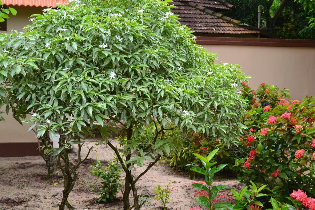 Tharavad Heritage Alappuzha Luaran gambar